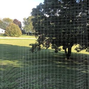 Meet your Posher, Dora